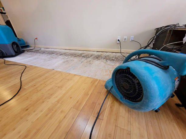 Professional Water Extraction technician working in Sandy Hook, CT